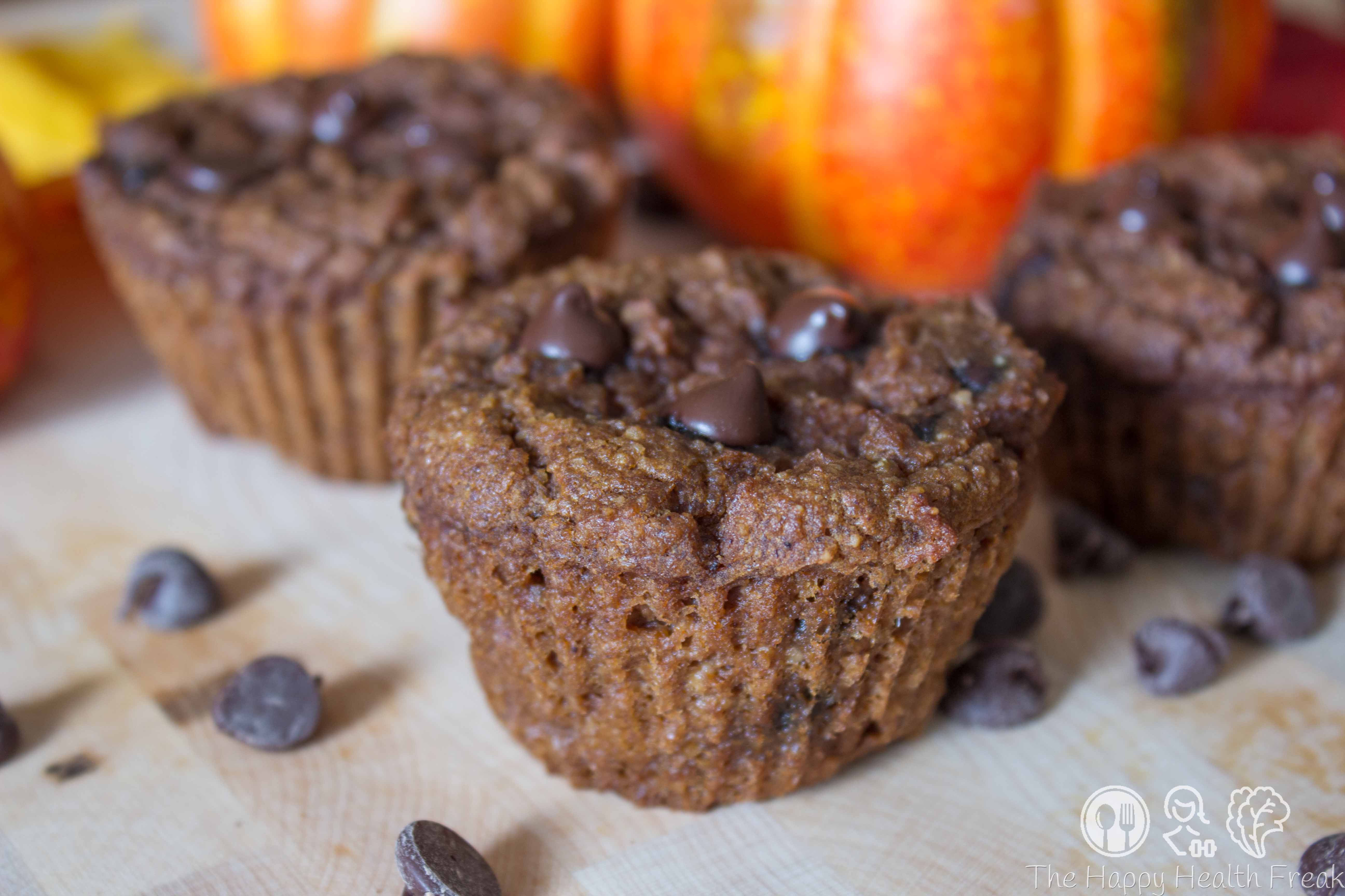 Chocolate Pumpkin Protein Muffins
