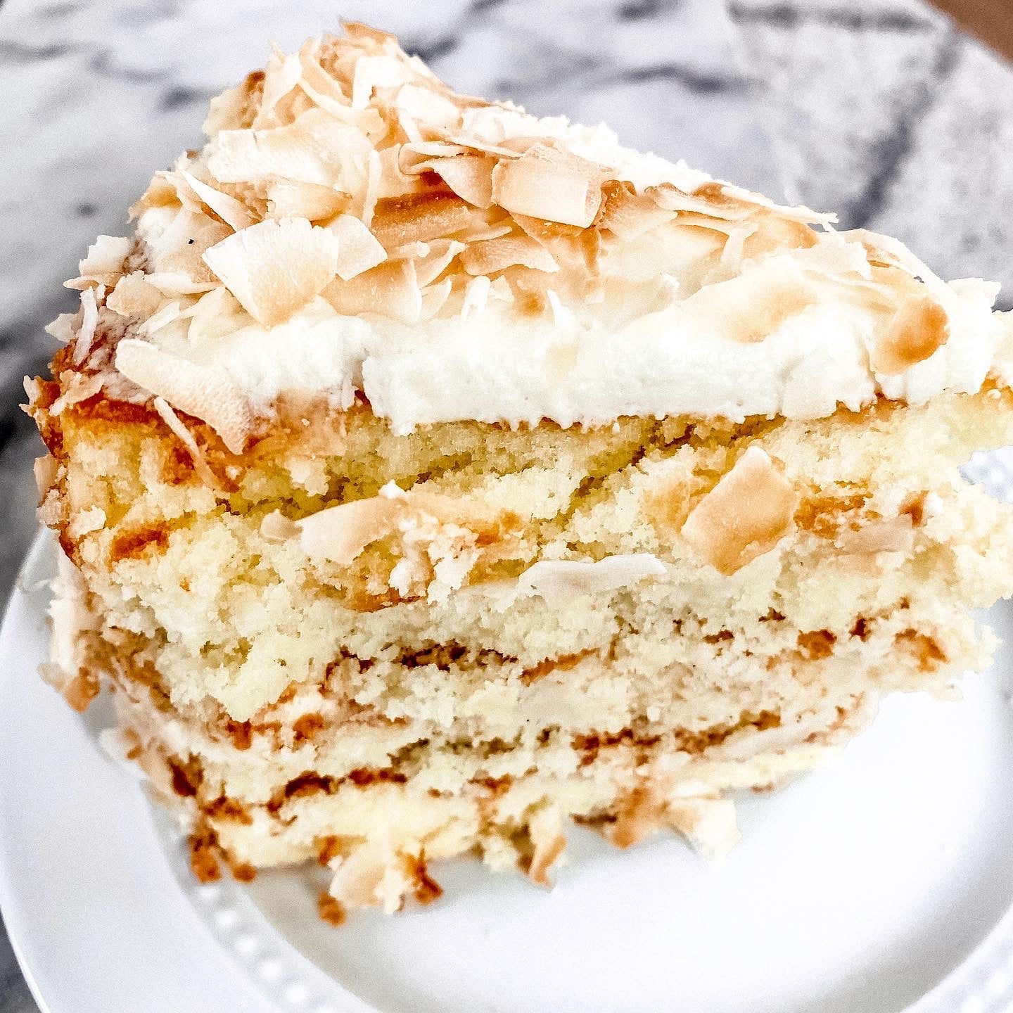 COCONUT PROTEIN CAKE
