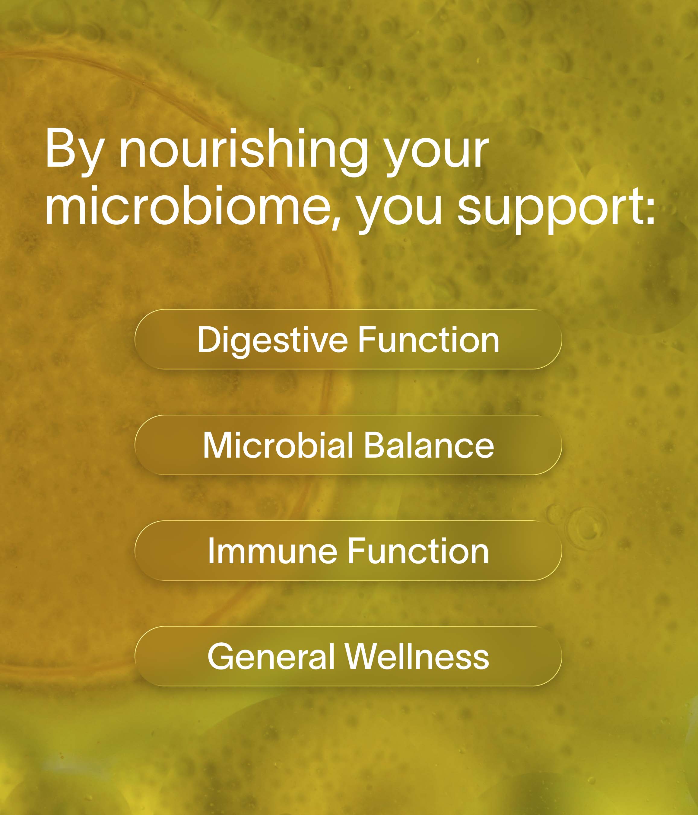 Nuzest - Inner Biome Blend - Ginger 500ml (20 Servings) 3