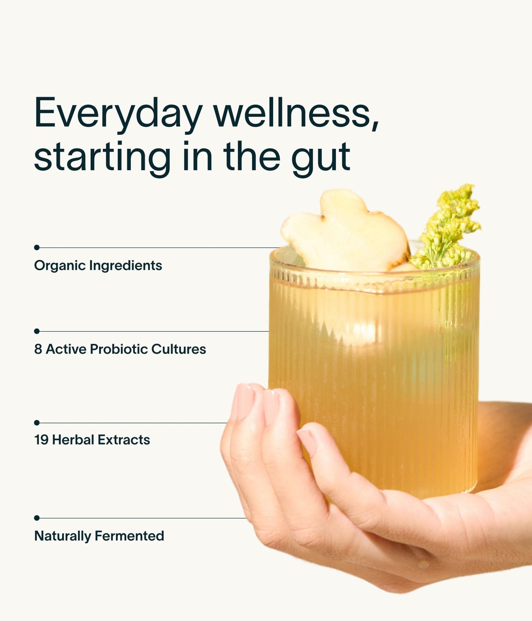 Nuzest - Inner Biome Blend - Ginger 500ml (20 Servings) 4